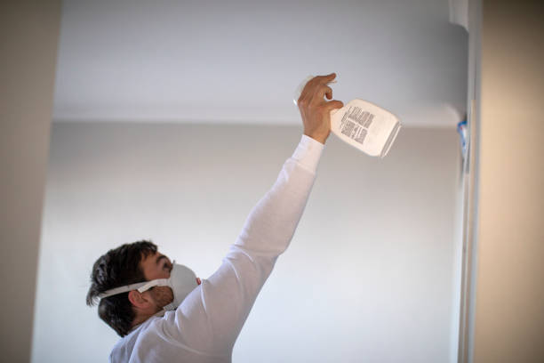 Best Residential Mold Removal  in Bellevue, WA