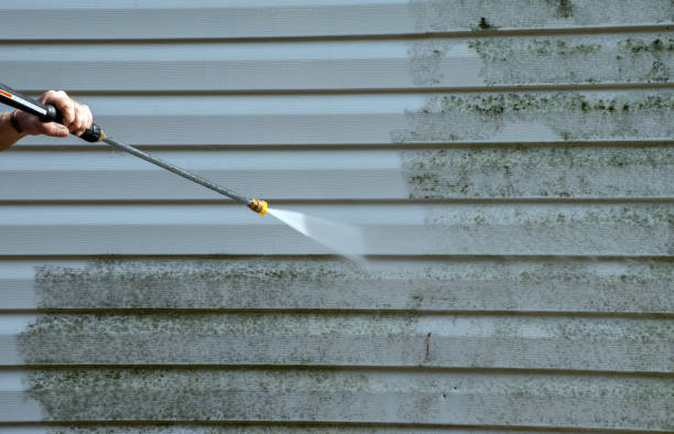 Best Attic Mold Removal  in Bellevue, WA