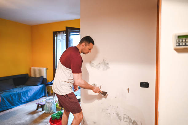 Mold Removal and Inspection in Bellevue, WA